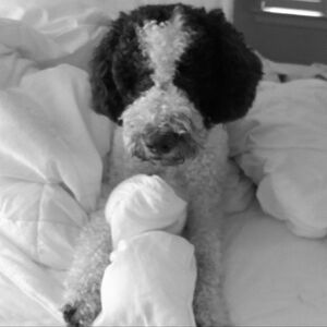 Lilly Pulitzer Originals Resort Fit Capri Pants